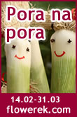 pora na pora