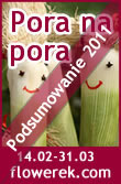 Pora na pora- Podsumowanie