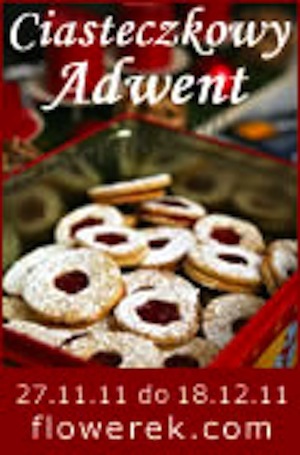akcja ciasteczkowy adwent