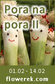 Akcja Pora na Pora II