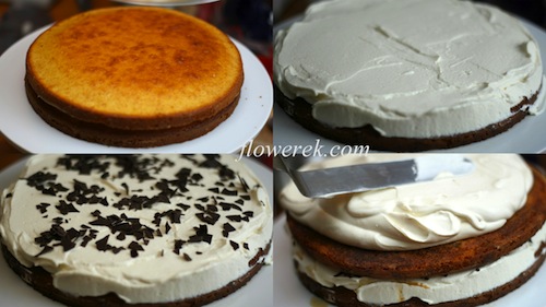 Tort tiramisu
