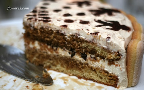 Tort tiramisu