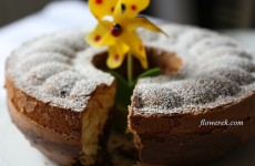 Babka marmurkowa